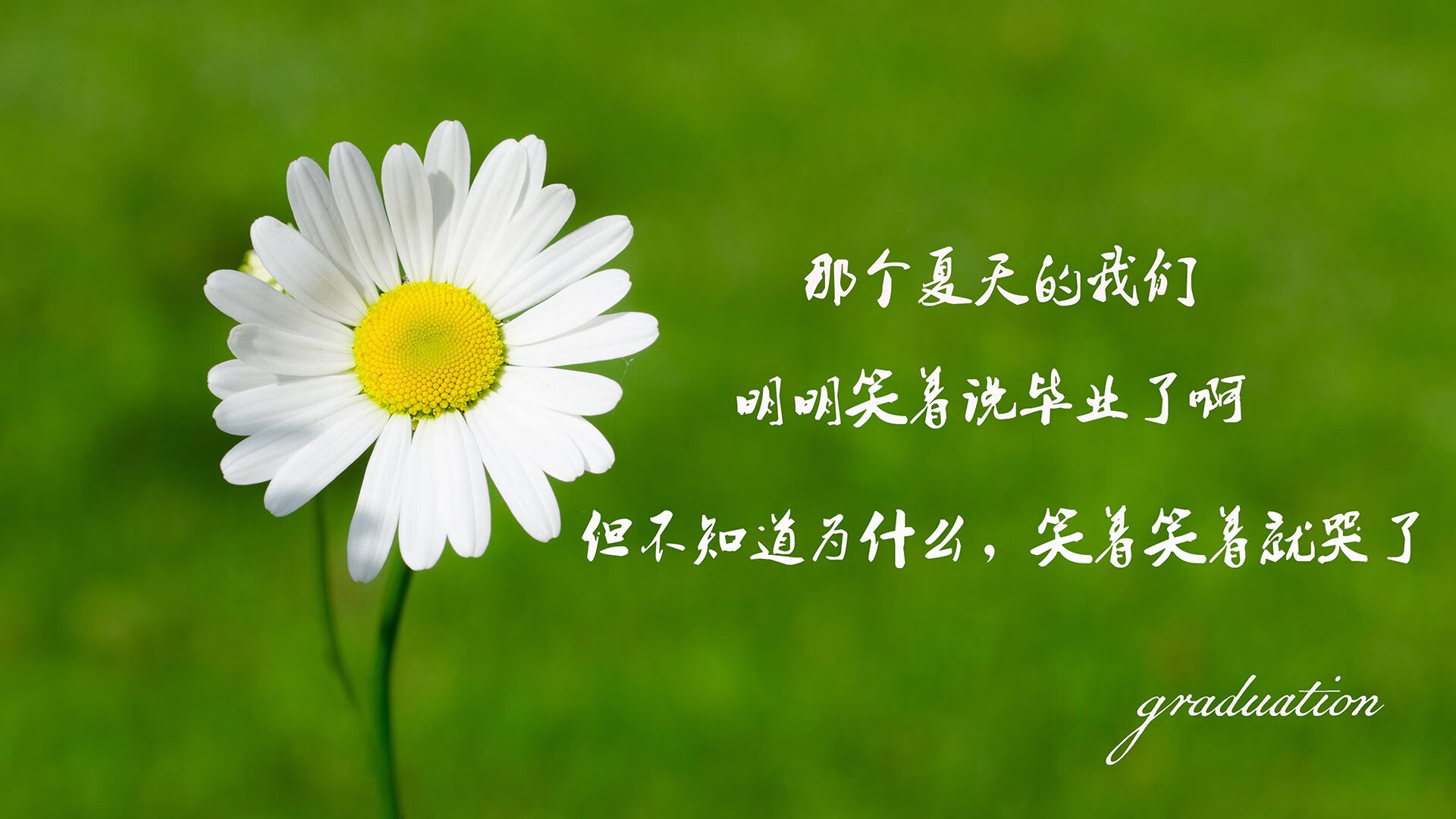 传奇球星的幕后生活，一窥他们的日常，传奇球星nba