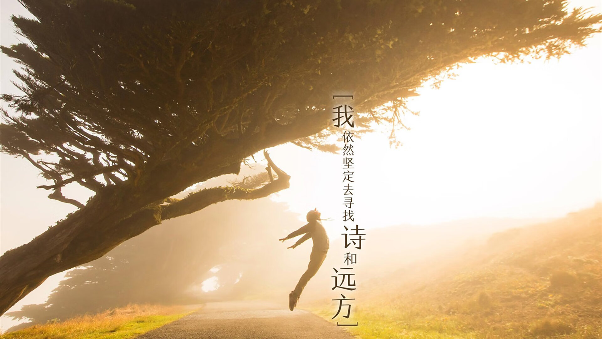 球队战绩起伏不定，令球迷心情变幻莫测，分析球队状态从哪里入手