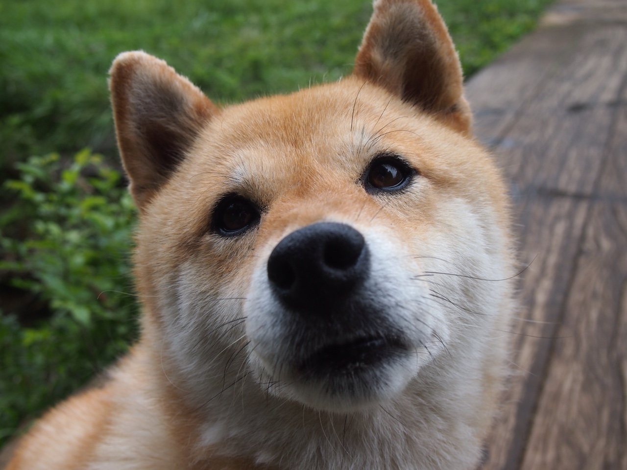 NBA联盟裁判员判罚行为规范研究,nba裁判规则