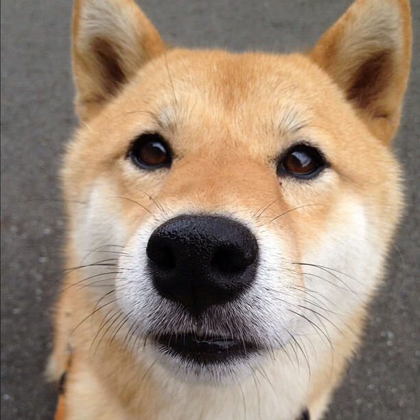 中国篮球职业联赛市场营销策略分析及实施案例，篮球市场营销策划方案