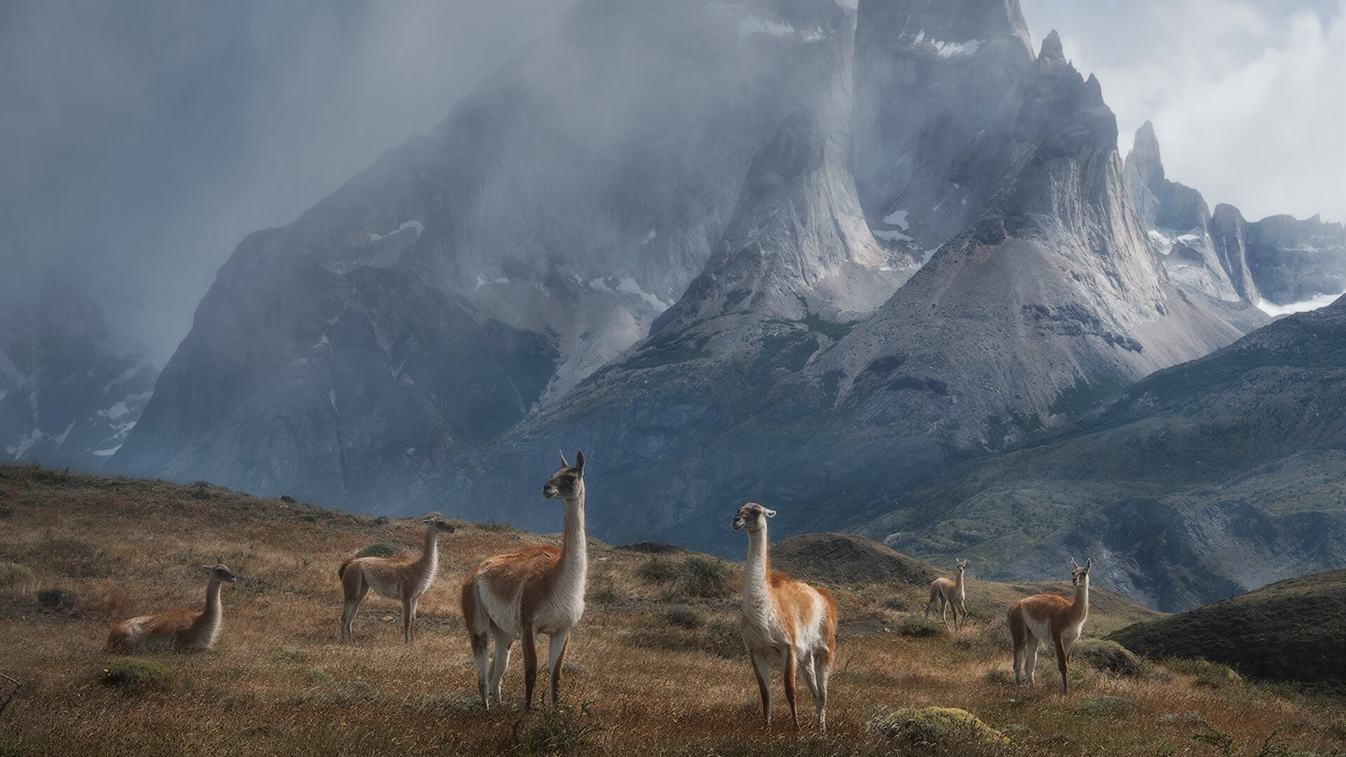中小学生体育游戏设计对心理韧性的影响研究,中小学生体育游戏的精髓