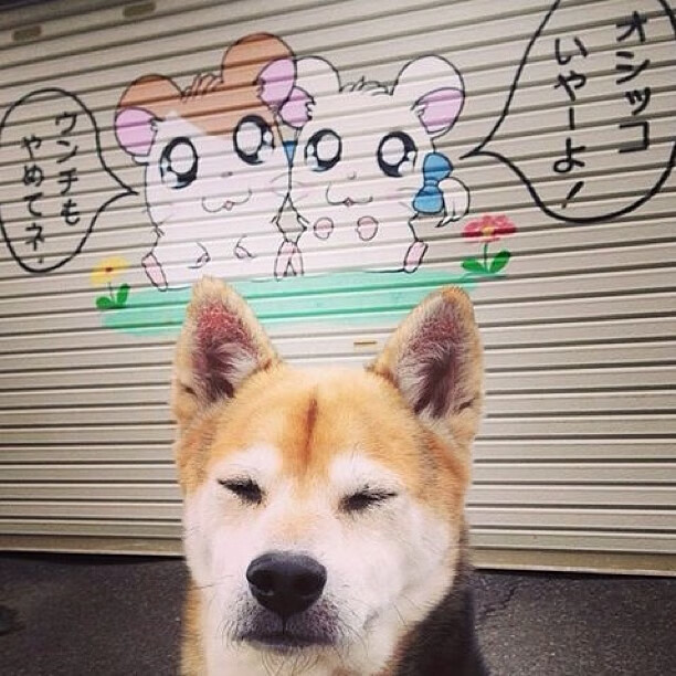 体育新闻中心上线运动项目知识问答智能推荐系统,体育新闻资讯