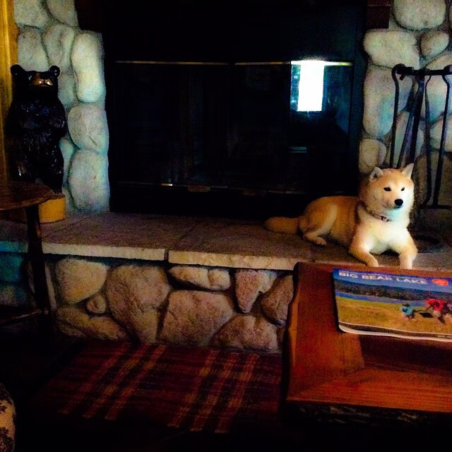 新加坡队在国际乒联混合团体世界杯中的稳健表现,新加坡乒乓球世界排名