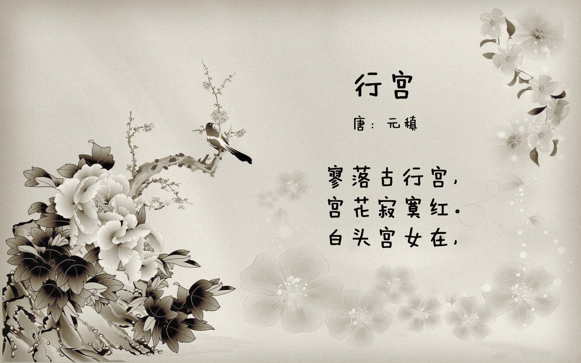 弗朗索瓦·霍尔茨豪伊泽：防守与进攻双重威胁，南非队的战术支柱