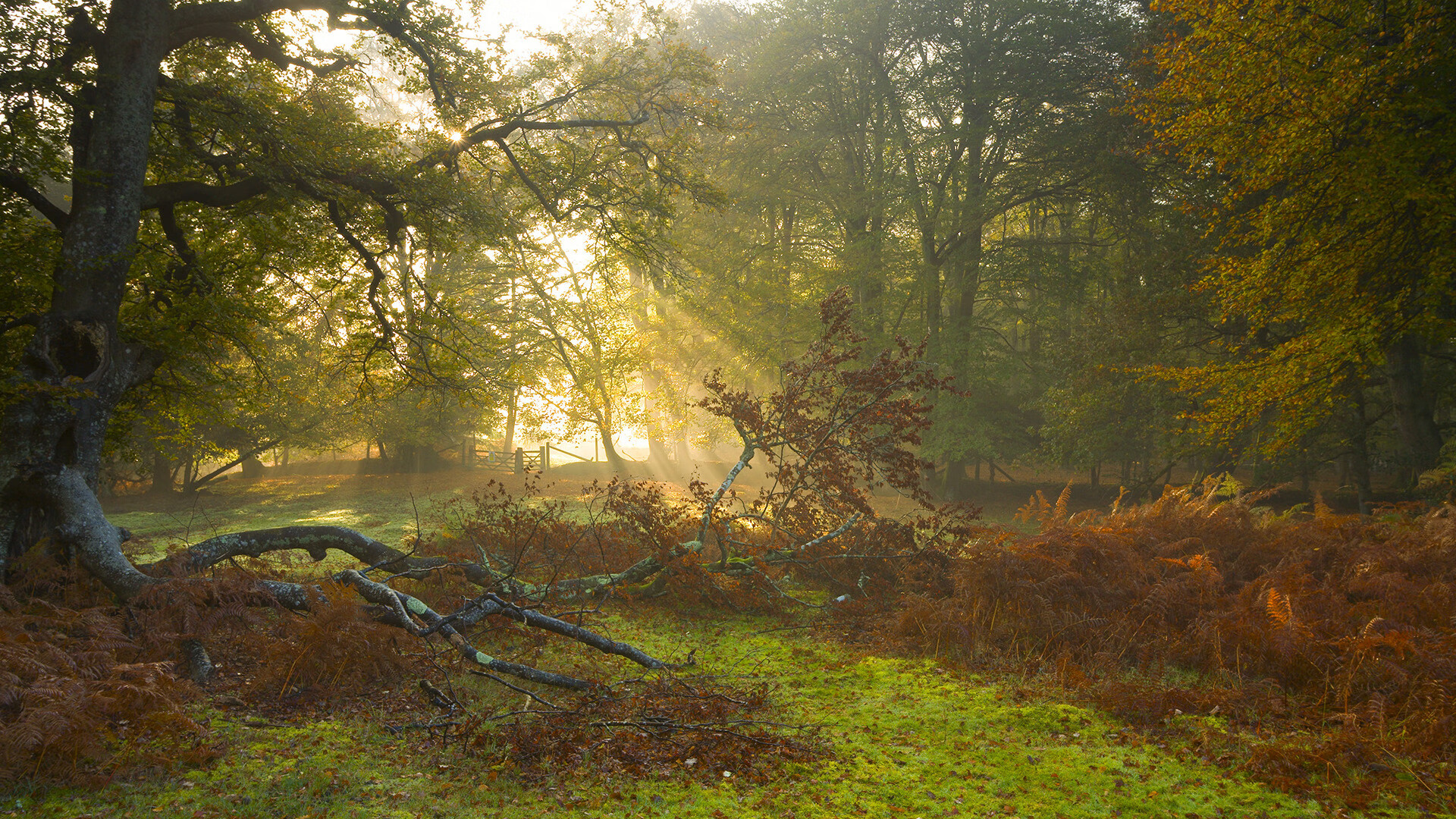 爱游戏电竞官网-突发情况中展示大将风范，大会突发状况考虑