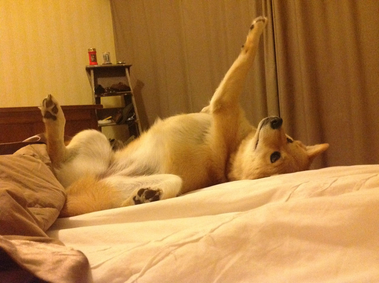 维尔·冯·威克:南非队的锋线引擎,他的进攻总是能打破防守封锁